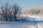 Файл : IMG_7808.jpg
Размер файла : 376KB
Размеры : 1068x712
Дата добавления : Янв 08, 2011 IMG_7808.jpg