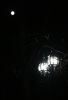 IMG_8000000000000000080.JPG
