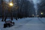 IMG_82323104.JPG