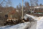 Файл : IMG_9089.jpg
Размер файла : 598KB
Размеры : 1200x799
Дата добавления : Март 22, 2011 IMG_9089.jpg