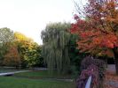 20171004_180750.jpg