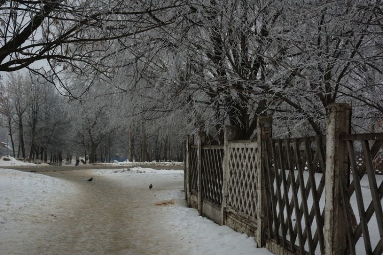 Нажать для просмотра полного размера