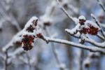 IMG_9238.JPG