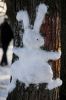 Файл : IMG_9271.JPG
Размер файла : 1188KB
Размеры : 2848x4272
Дата добавления : Янв 10, 2013 IMG_9271.JPG