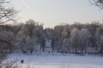 IMG_9281.JPG