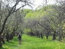 20130510_142003.jpg